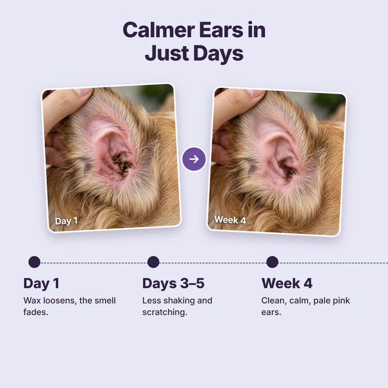 KentaPaw Pet Ear Care Combo – Ear Cleaning Spray + Finger Wipes